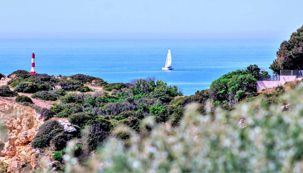 Alzira By Rossio Lägenhet Albufeira Exteriör bild